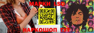 spice Кунгур
