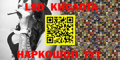 spice Кунгур