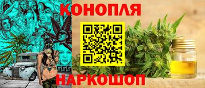 spice Кунгур