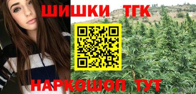 spice Кунгур