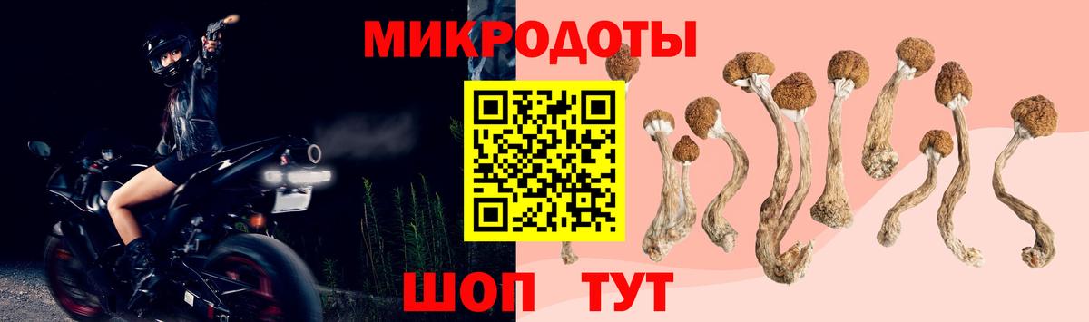 Златоуст  Галлюциногенные грибы GOLDEN TEACHER  Вход с VPN 
